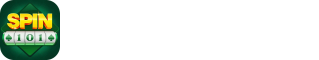 Spin 101